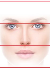 graphic of a woman's face divided by horizontal lines depicting nose height
